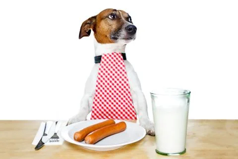 Dinner meal at table dog Stock Illustration
