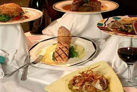 Dinner Presentation 007 Stock Footage 486001