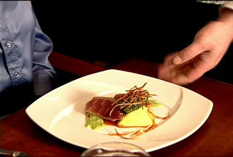 Dinner Presentation 118 Stock Footage 489486