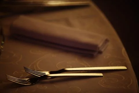 Dinner in a restaurant Stock Photos