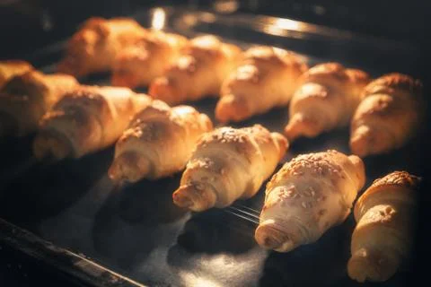 Dinner-rolls-inside-oven Фото