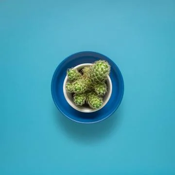 Dinner is served. Stock Photos