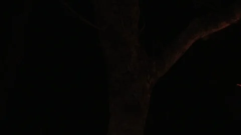 Dinner set up outside at night Video stock 91787713