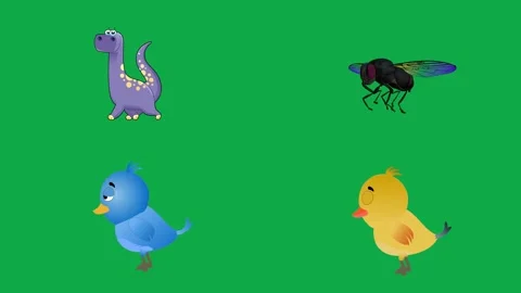 Dino Fly Bird Chick animation on green screen minimal animated character Stock Footage 334704376