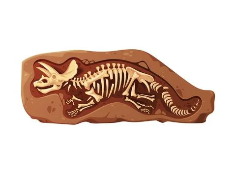 Dino fossil skeleton bones full skeletal structure 스톡 일러스트