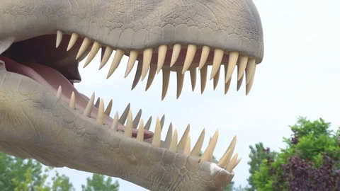 DINO PARK, MANAVGAT, TURKEY - MAY 15, 2017: Tyrannosaurus life size model of Stock Footage