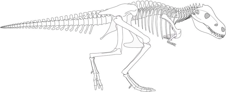 Dino scheletro Stock Photos