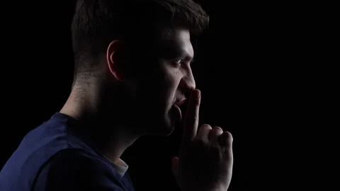 Dino shh 2 Stock Footage 328532836