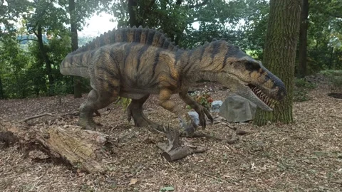 Dino Spinosaurus Stock Footage 161186690