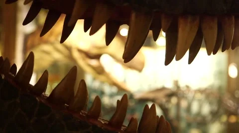 Dino Teeth Video stock 44520552