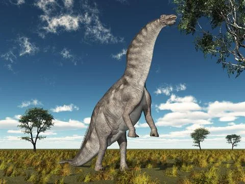 Dinosaur Amargasaurus eats the leaves of a tree Stock-Illustration