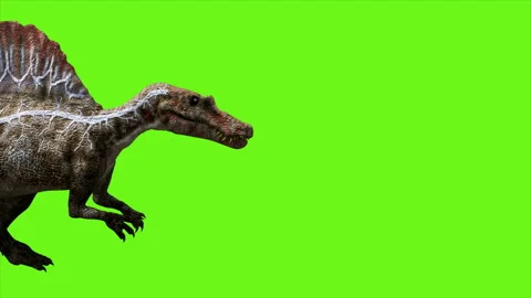 Dinosaur Green Screens #3 on Make a GIF