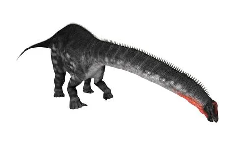 Dinosaur apatosaurus Stock Illustration