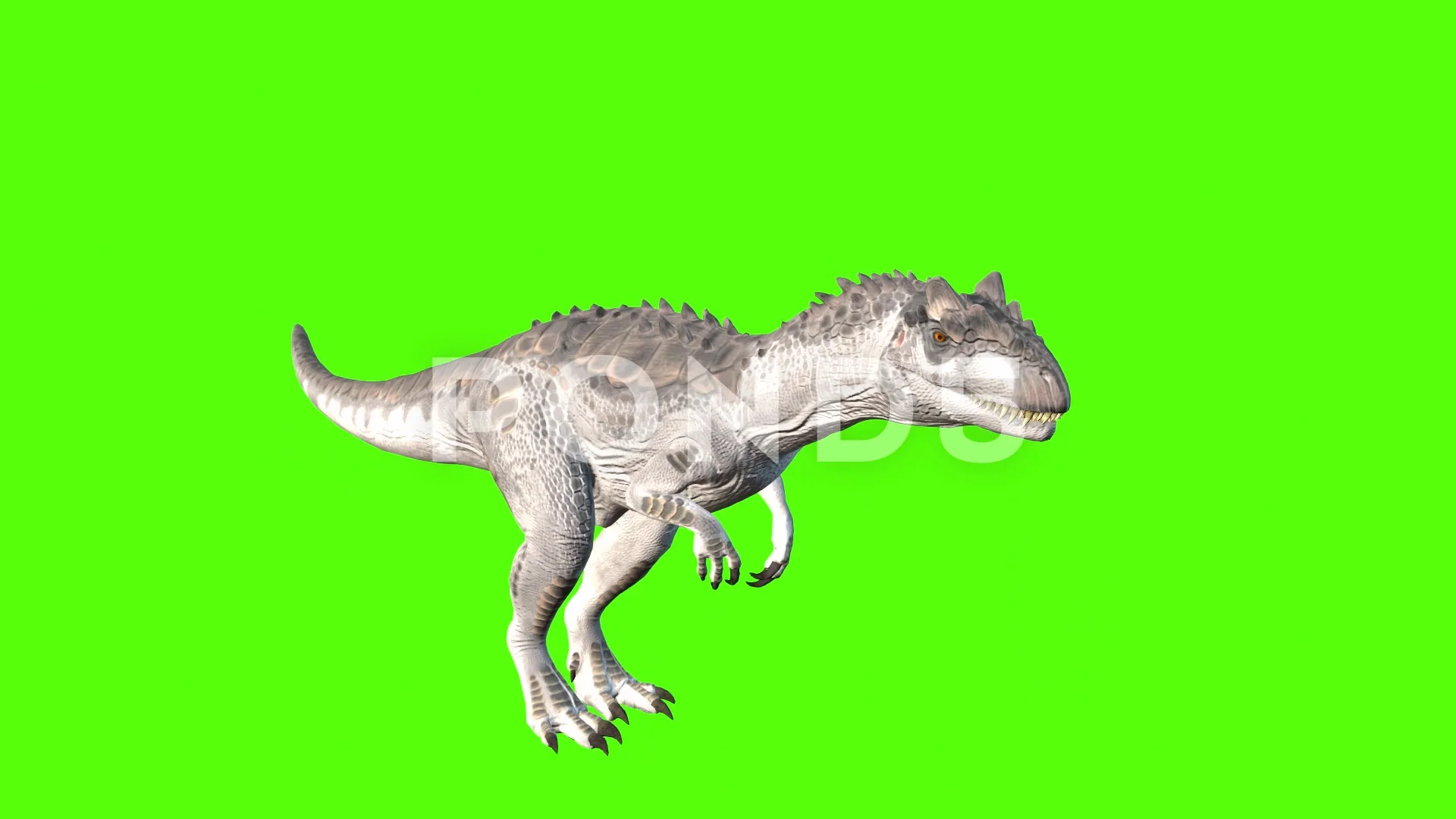 animate a running dinosaur Tyrannosaurus, Stock Video