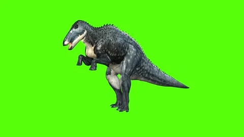 Animate Running Dinosaur Tyrannosaurus Rex 3d Stock Footage Video (100%  Royalty-free) 1012228994