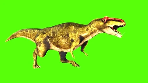 Animate Running Dinosaur Tyrannosaurus Rex 3d Stock Footage Video (100%  Royalty-free) 1012228994