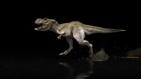 DINOSAUR ON BLACK BACKGROUND Stock Footage 983719