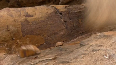 Dinosaur bone excavation Stock Footage 8537813