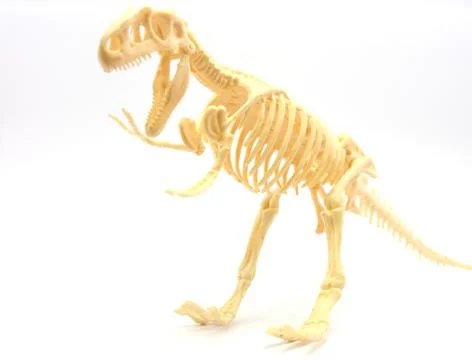Dinosaur bones and Ghost Stock Photos