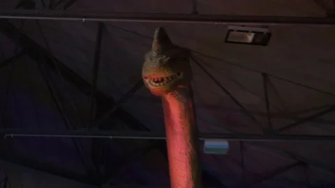 Dinosaur Brachiosaurus face head animatronic moving animal prehistoric zoom Stock Footage 335873321