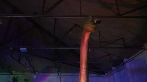 Dinosaur Brachiosaurus face head animatronic moving animal prehistoric Stock Footage 335873326