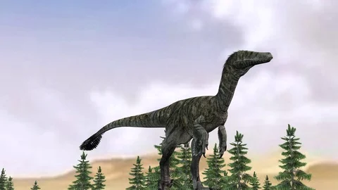 Dinosaur call austroraptor walking in scene Stock Footage 121841268