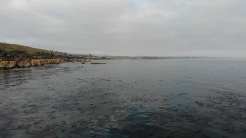 Dinosaur Caves - Shell Beach, Ca. 库存影片 103238716
