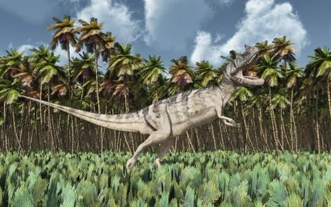 Dinosaur Ceratosaurus Stock Illustration