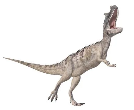 Dinosaur Ceratosaurus isolated on white background Stock Illustration