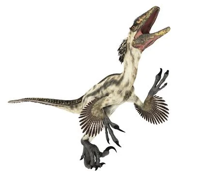Dinosaur Deinonychus Stock Illustration