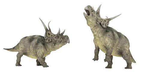 Dinosaur Diabloceratops isolated on white background Stock Illustration