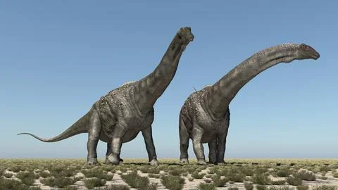 Dinosaur Diamantinasaurus in a landscape Stock Illustration