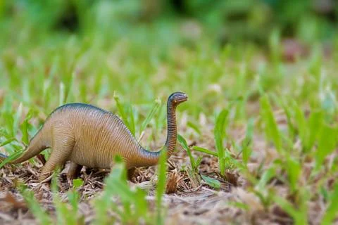 Dinosaur doll Stock Photos