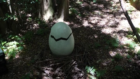 Dinosaur egg hatching Stock Footage 242335678