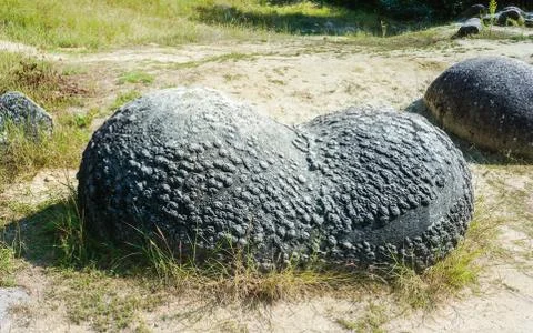 Dinosaur eggs Calcified Stock Photos
