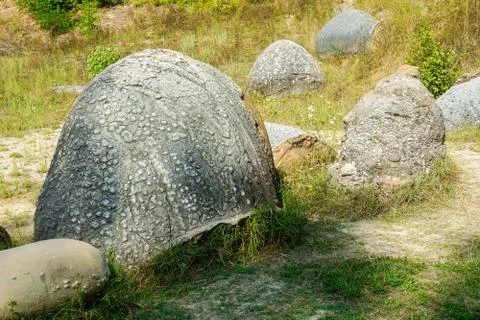 Dinosaur eggs Stock Photos
