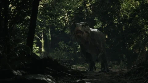 Dinosaur exploring a jungle filled with ancient trees Stock Footage 295115316