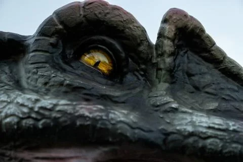 Dinosaur eye. Stock Photos