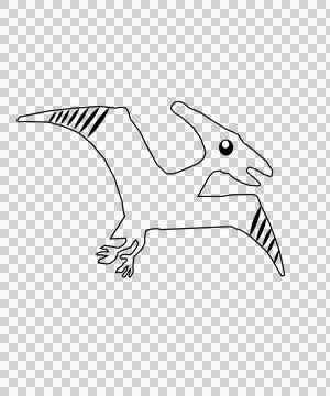 Dinosaur Flying Pterosaur Outline Drawing circle line art Stock Illustration