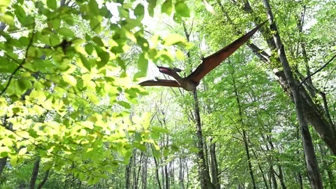 Dinosaur Flying Through Forest Stock Footage 285438421