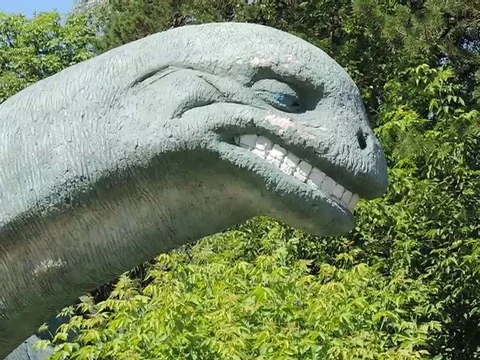 Dinosaur 動画素材 89268681