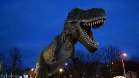 Dinosaur Stock Footage 100240479