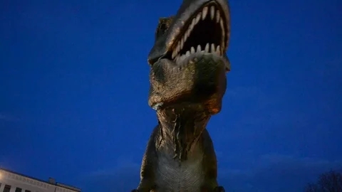 Dinosaur Stock Footage 100240482