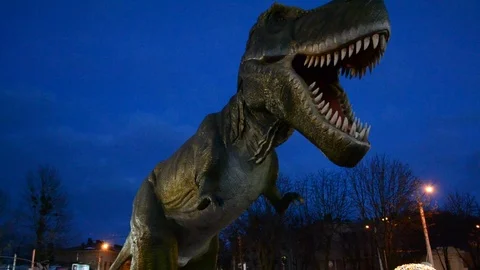 Dinosaur Stock Footage 100240511
