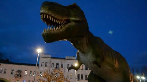 Dinosaur Stock Footage 100240519