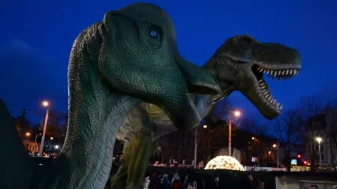 Dinosaur Stock Footage 100240551