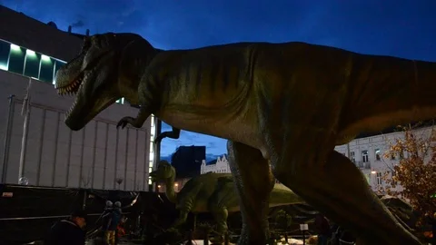 Dinosaur Stock Footage 100240784