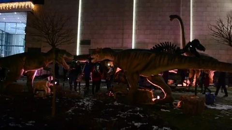 Dinosaur Stock Footage 100240854