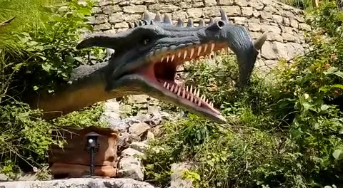 Dinosaur Stock Footage 208110482