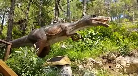 Dinosaur Stock Footage 208110580